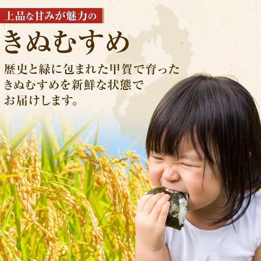 【令和8年産 新米 先行予約】近江米きぬむすめ白米5kg×3回定期便※2026年9月～発送