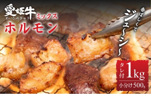 ミックスホルモン タレ漬け 1kg 小分け 500g×2p 愛姫牛  | ホルモン おすすめ 肉 焼肉 バーベキュー BBQ ホルモン 冷凍 セット 愛媛県産 簡単調理 ご当地グルメ 愛媛県 松山市