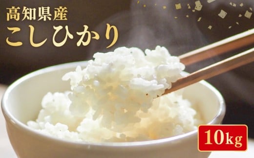 【令和7年産】 米 こしひかり 10kg お米 白米 精米 新米 コシヒカリ 産地直送 ごはん ご飯 高知県産 弁当 おにぎり 料理 高知県安芸市