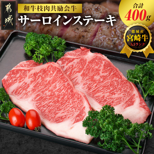 【和牛枝肉共励会牛】(A5)宮崎牛サーロインステーキ200g×2_AD-25-001(都城市) 宮崎県 宮崎牛 サーロイン ロース ステーキ 真空 品評会出展牛 特別セット