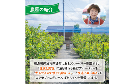 冷凍 ブルーベリー 約1850g フルーツ 国産 果物 大粒 甘い 糖度 ジャム ジュース ケーキ ゼリー スムージー ヨーグルト 洋菓子 お菓子 焼菓子 おやつ デザート スイーツ ポリフェノール アントシアニン 美容 健康 ギフト 贈答 プレゼント お取り寄せ グルメ 送料無料 徳島県 阿波市 AWABlueberryファーム
