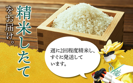 玄米 おぼろづき 新米 30kg/ 白米 玄米 ごはん こめ 北海道米 ※10月～順次発送 【kja400-obo-g30-R7】