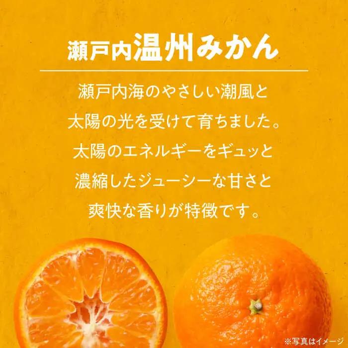 温州みかん 2kg みかん【11月中旬から順次配送】[AGBN046]