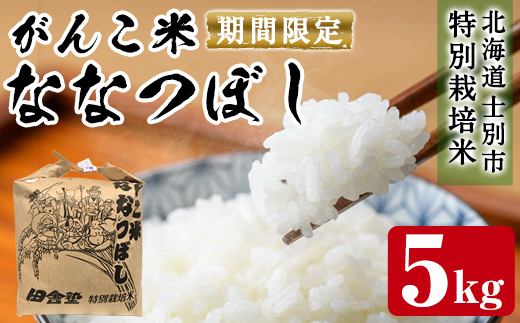 ＜数量限定・令和7年産＞田舎塾特別栽培米「がんこ米ななつぼし」(5kg) 米 お米 白米 北海道産 北海道米 ななつぼし ごはん おこめ コメ 単一原料米 令和7年産 【田舎塾】【A7153】