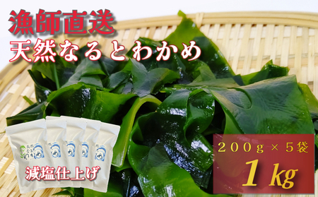 【漁師直送】天然なるとわかめ 200g×5袋 【 減塩 】 鳴門わかめ わかめ 天然 国産 希少 人気 湯通し 塩蔵 味噌汁 みそ汁 スープ お刺身 サラダ 酢の物 和え物