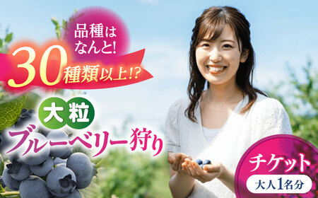 ブルーベリー狩り 80分食べ放題 大人1名様 ブルーベリー 体験チケット[AEBZ007]