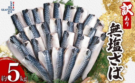訳あり 無塩さば 5kg 鯖