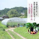 【ふるさと納税】【 定期便 】【2025年7月発送開始】曽爾高原夏野菜5種5品3ヶ月定期便〜ご夫婦や小さなご世帯の食べきりサイズ〜 ふるさと納税 野菜 定期 野菜セット 定期便 お楽しみ セット 詰め合わせ 送料無料 奈良 奈良県 お得 支援 応援 美味しい 先行予約