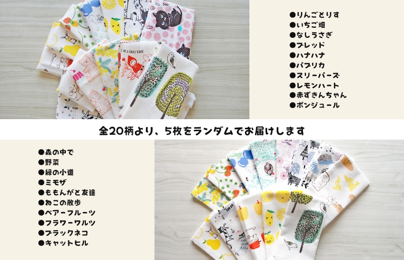 抗菌防臭！ふきぴか キッチンタオル 5枚セット 【ギフト仕様 デザインおまかせ】 099H3910