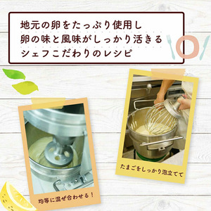 爽やかな風味♪ 美浜檸檬マドレーヌ 10個 フレベールラデュ 焼き菓子 洋菓子 スイーツ お菓子 個包装 贈り物 プレゼント 愛知県 美浜町