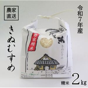 ★令和7年産★ 米 きぬむすめ 精米 2kg(令和7年10月～順次発送)【1661680】