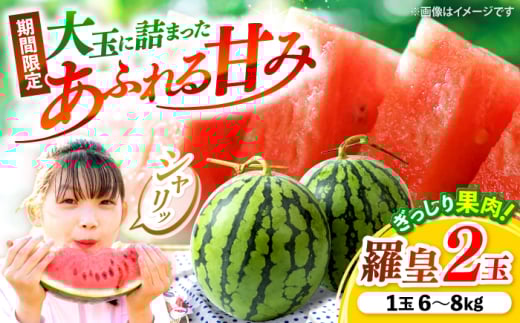 羅皇2玉 （1玉当たり6〜8kg） ＜武藤農園＞ [CFV007]