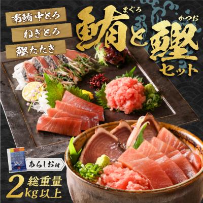 ふるさと納税 焼津市 南鮪 中とろ 藁焼き かつおたたき ねぎとろセット(a32-007) |  | 01