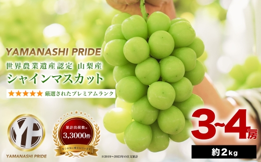 2026年発送 フルーツ王国山梨産 厳選 シャインマスカット 3～4房 (約2kg)【1108670】