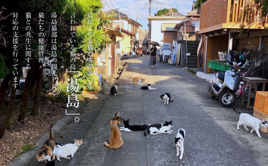 ねこの島！湯島！オリジナルステッカー【地域猫活動支援】