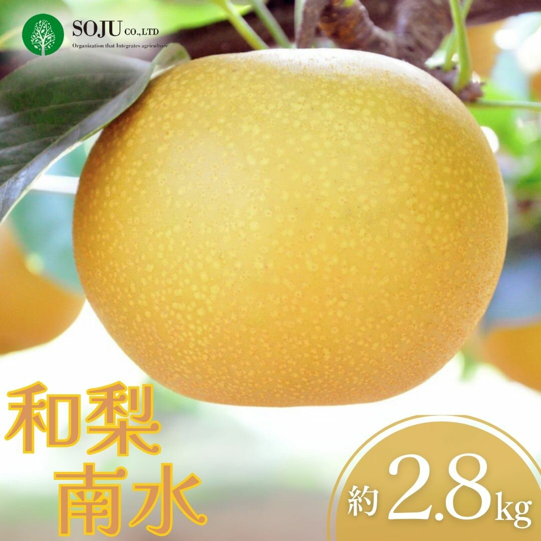 【ふるさと納税】先行予約 和梨 南水 約2.8kg 令和8年度 樹上完熟日本梨 新潟県 三条市産 [三条果樹専門家集団]【010S497】