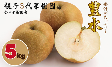 【先行予約開始！】豊水 梨（５kg）親子三世代 農家 合六果樹園  B140-016