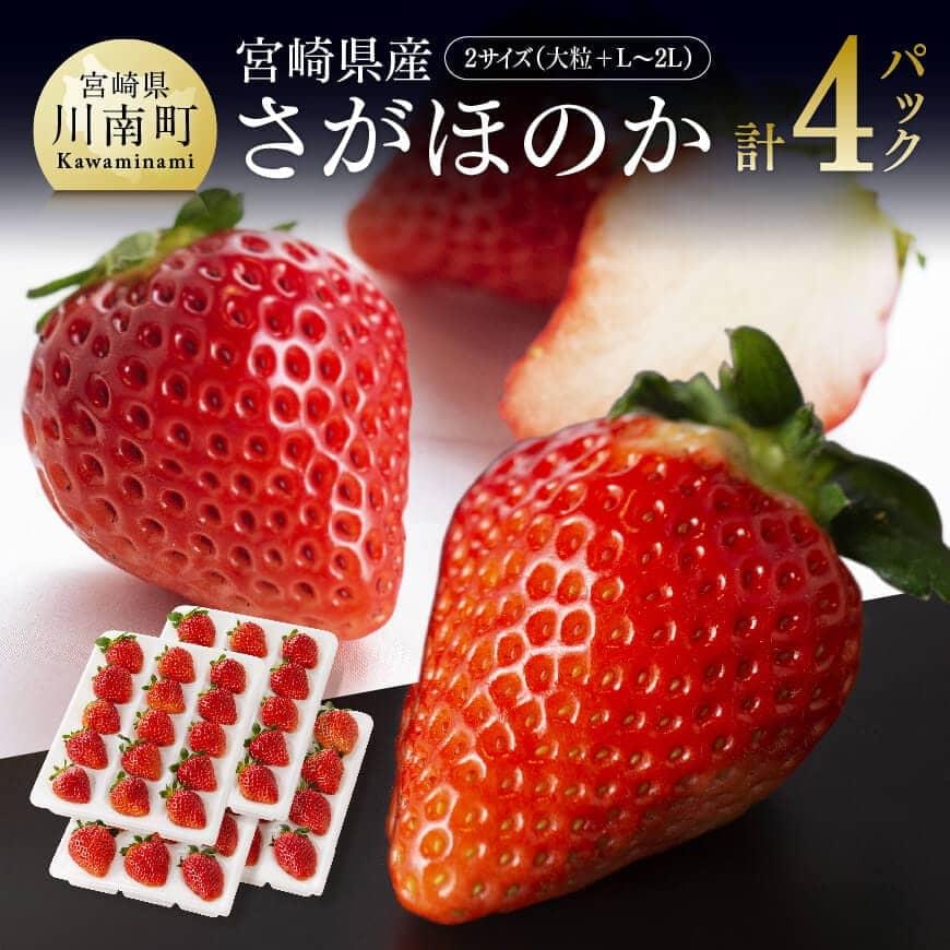【令和8年発送】宮崎県産いちご　さがほのかセット（大粒×2パック・L～2L×2パック）　いちご イチゴ 苺　[C04601]