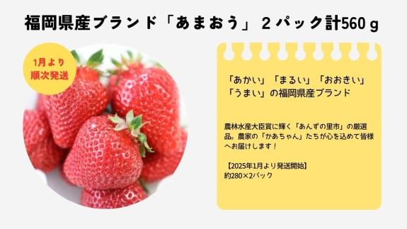 
            【2026年1月より順次発送】福岡県産ブランドいちご「あまおう」2パック計560ｇ★あんずの里[G0161]
          