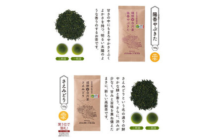 白川稔の技ありセット｢撰（せん）｣ 計300g / お茶 日本茶 嬉野茶 緑茶 / 佐賀県 / 白川製茶園 [41AIAB006]