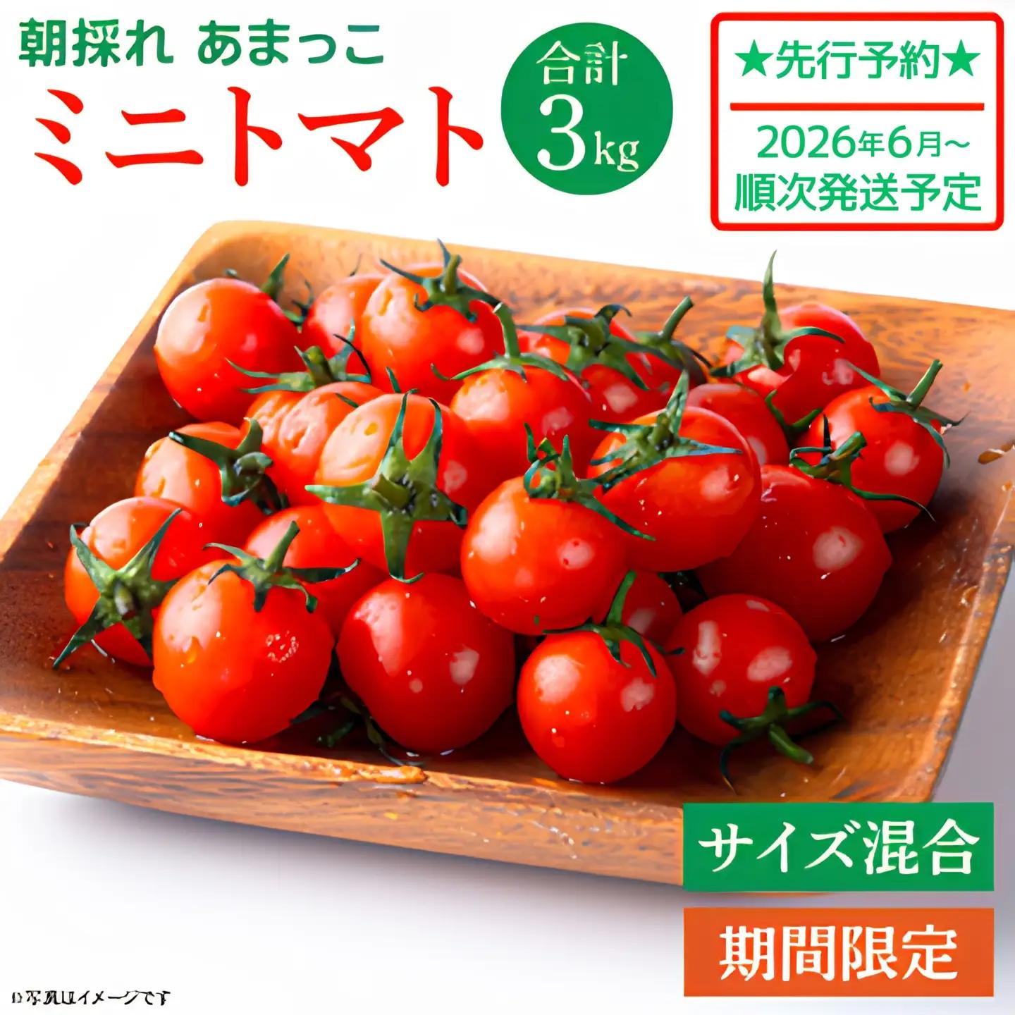 ミニトマト 朝採れ あまっこ 約3kg 【ミニトマト】 トマト 