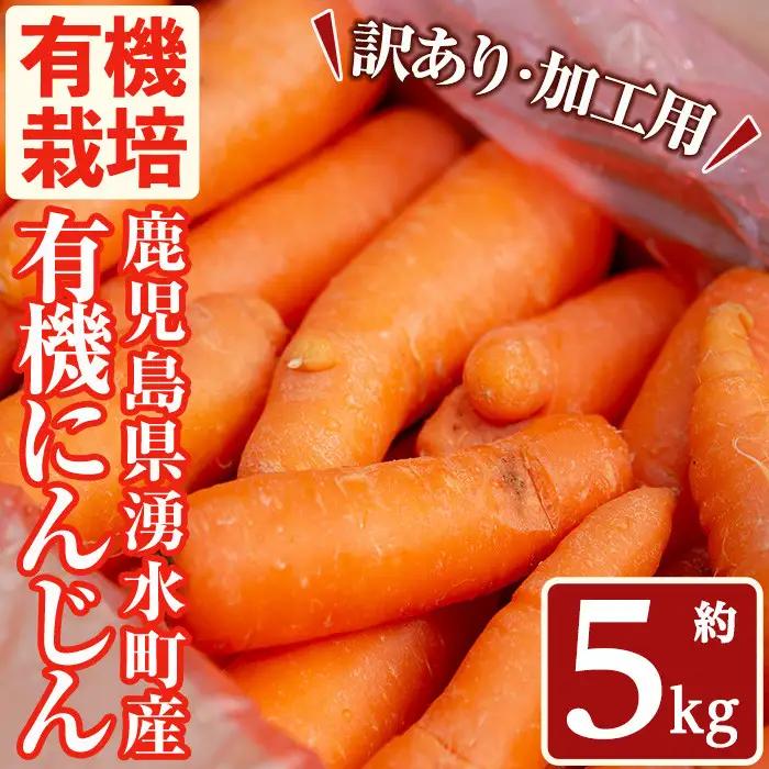 湧水町産有機にんじん5kg (訳あり) にんじん_y503