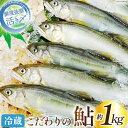 【ふるさと納税】【先行受付】鮎 こだわりの生鮎 約1kg [株式会社 あゆの是則 宮崎県 日向市 452060793] あゆ アユ 魚 魚介 川魚 塩焼き 甘露煮 冷蔵 生あゆ 子持ち鮎