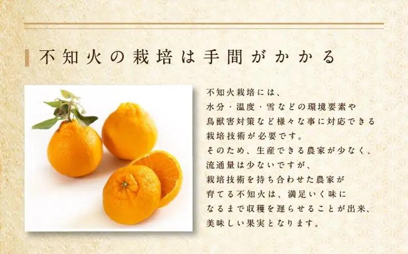 【先行予約】(デコポンと同一品種)赤秀 不知火 5kg【2027年2月下旬から4月下旬頃順次発送予定】デコポン
