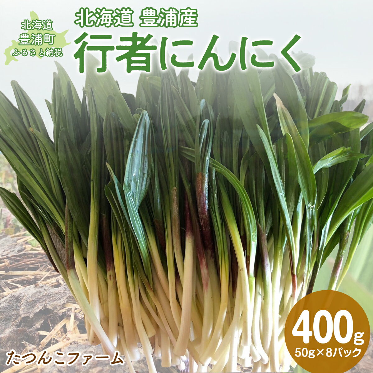 【ふるさと納税】【2026年2月以降順次出荷】北海道豊浦産 行者にんにく 50g×8パック【 ふるさと納税 人気 おすすめ ランキング 野菜 根菜 にんにく 行者 大容量 おいしい 美味しい 新鮮 北海道 豊浦町 送料無料 】 TYUF008