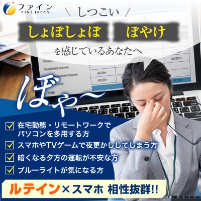 ふるさと納税 上郡町 ひとみの恵ルテイン40ソフト×3個セット(90日分) |  | 01