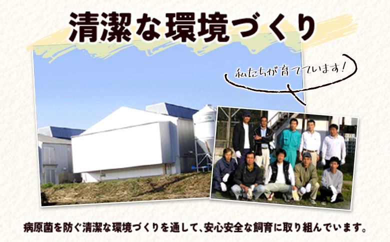 ＜配送開始月が選べる!!＞児湯養鶏自慢の卵 ネッカリッチ赤たまご「児湯一番」 計120個 （20個入×2箱）×3か月定期便 生活応援 ※2026年5月配送開始【C55-2605】 2026年5月配送開