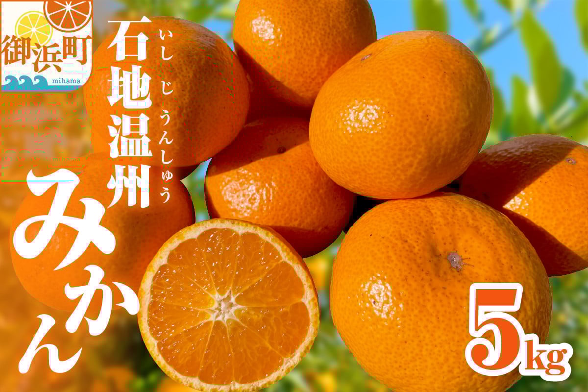 
            ミカファームの石地温州みかん5キロ【期間限定 数量限定 果物 フルーツ みかん 温州みかん 石地温州みかん デザート 5kg 三重県 御浜町】
          