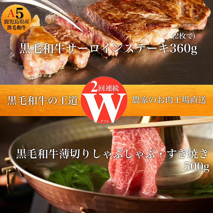 【ふるさと納税】＜定期便！全2回(連続)＞ステーキ＆すき焼き・しゃぶしゃぶ！W黒毛和牛の王道定期便 牛肉 すき焼き しゃぶしゃぶ スライス サーロインステーキ 肩ロース 黒毛和牛 和牛 A5 国産 冷凍【水迫畜産】