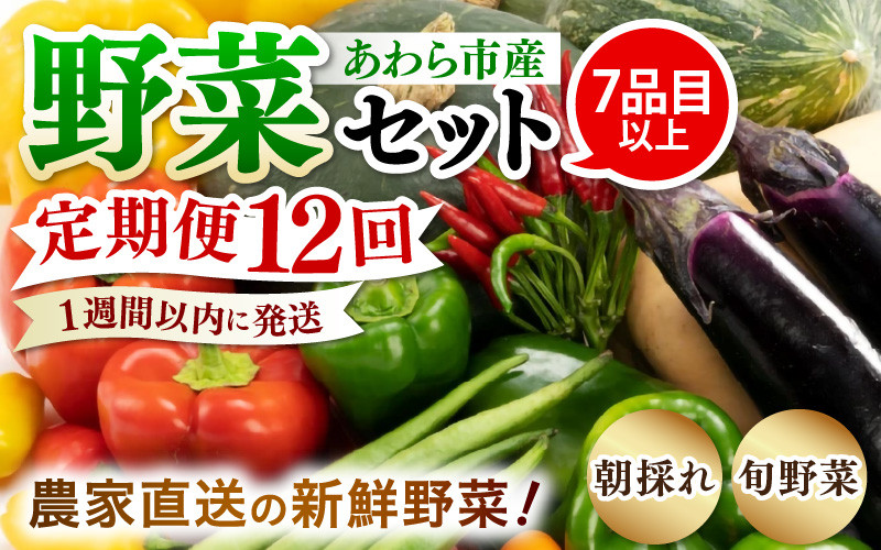 
            【12ヶ月連続お届け】農家直送 旬の野菜セット 7品目以上 1箱 / 定期便 12ヶ月 12回 [aw028-f001] 
          