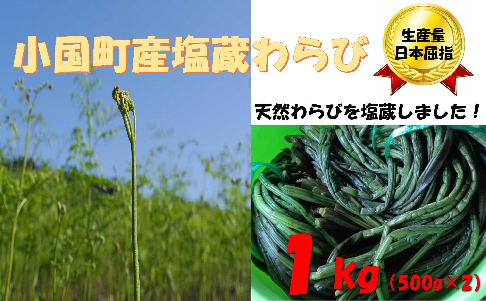 
                  塩蔵わらび1kg（500g✕2パック）
                