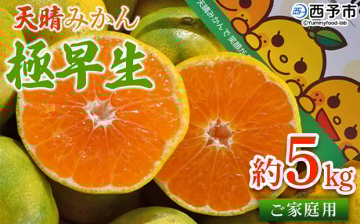 ＜天晴みかん 極早生 家庭用 約5kg＞ 温州ミカン 柑橘 果物 くだもの フルーツ 蜜柑 訳あり ワケアリ 自宅用 期間限定 季節限定 食べて応援 特産品 産地直送 愛媛県 西予市【常温】