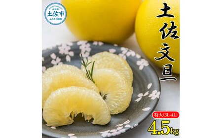 【先行予約】土佐文旦 4.5kg 特大 文旦[BQBW008]