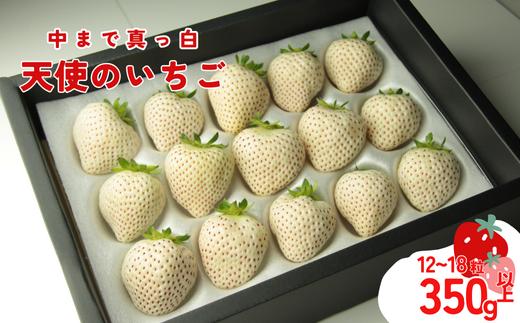 発送1月～【先行受付】天使のいちご　350～400ｇ　白いちご　【苺】 イチゴ おおきい スイーツ 白い 果物 ふるさと納税 いちご うまい フルーツ 期間限定 人気いちご まるい 甘い いちご 旬 直送 おすすめいちご ストロベリー 苺ジャム いちご 好きのための いちご