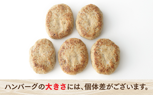 AB189.九州産黒豚ハンバーグセット