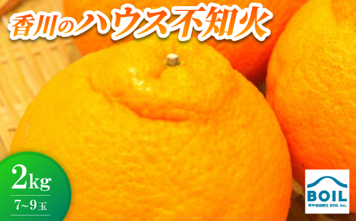 ハウス不知火(中晩柑)約2kg(7～9玉)【1680221】