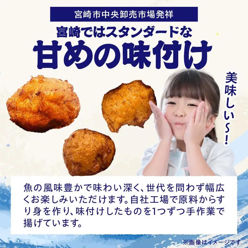魚のすり身の天ぷら「ひな天」 さつま揚げ 未利用魚 天ぷら オオニベ