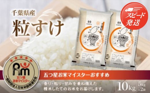 【最短2～7営業日出荷】令和7年産 千葉県産粒すけ 精米 10kg (5kg×2袋) E017