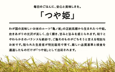 つや姫 精米 5kg 7月中旬~7月下旬発送 国産 お米 山形県産 山形産  おすすめ 5kg 5キロ 5きろ 令和7年産 2025年産 沖縄・離島への配送不可 コメ こめ はくまい 白米米 tf-t