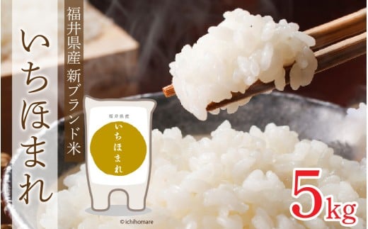 令和7年度産 福井県産新ブランド米 いちほまれ 5kg [A-002025]