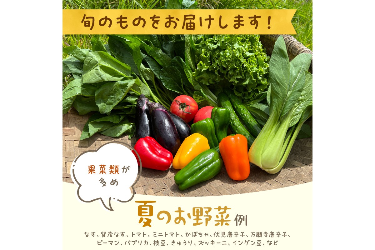 【定期便】合計12回お届け　有機野菜・京野菜の『京都やおよし』のお野菜＆平飼玉子10個の詰め合わせ　AA00036
