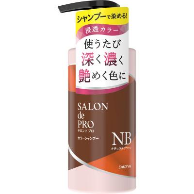 ふるさと納税 稲沢市 ダリヤ　サロン　ド　プロ　カラーシャンプー 《ナチュラルブラウン》3個セット |  | 01
