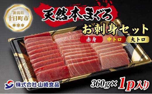 
DE229 天然 本マグロ 刺身セット 360g 赤身 中トロ 大トロ 三種 盛り合わせ 鮪 クロマグロ 冷凍 まぐろ 刺身 海鮮丼 手巻き寿司 夕食 お取り寄せ グルメ 送料無料 山崎食品 新潟県 十日町市
