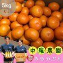 【ふるさと納税】NA-10 中尾農園の夢みるみかん（S-L）5kg　果物　くだもの　ビタミン