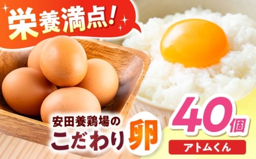 安田養鶏場の卵 アトムくん 40個入り 横須賀市 産地直送 たまご 黄身 濃厚 卵 玉子 タマゴ 鶏卵  【安田養鶏場】 [AKHN003]
