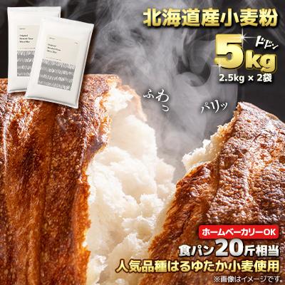 ふるさと納税 室蘭市 北海道産はるゆたかブレンド小麦　シルバーライズ　パン用強力粉 5kg(2.5kg×2袋)